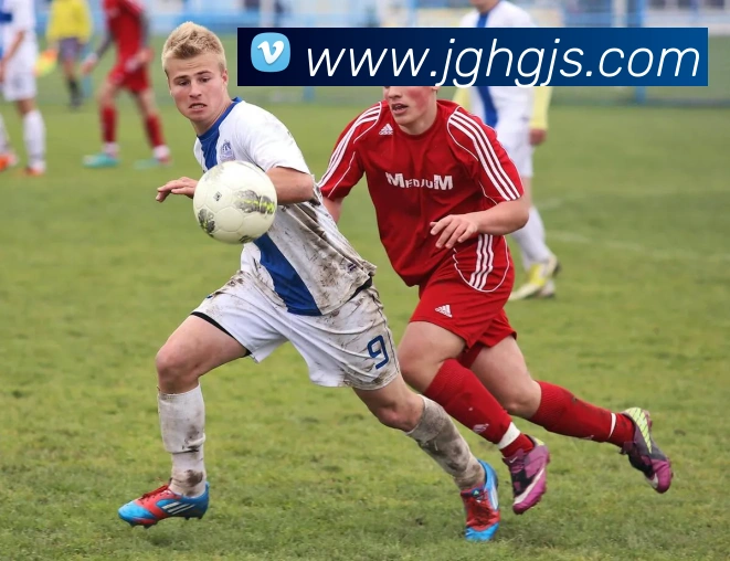 金沙集团服务体系